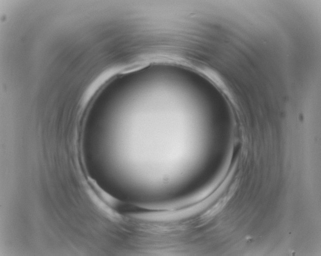 X0000065951438200603171948