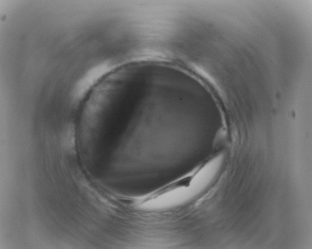 X0000065951455200603171947