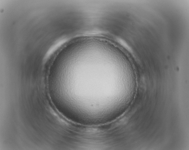 X0000065951456200603171947