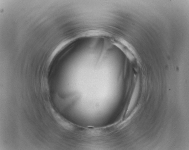 X0000065951473200603171947