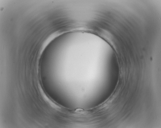 X0000065951483200603171947