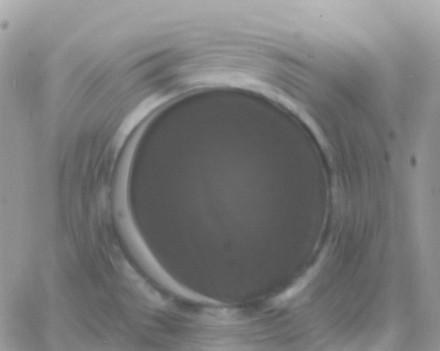 X0000065951529200603171947