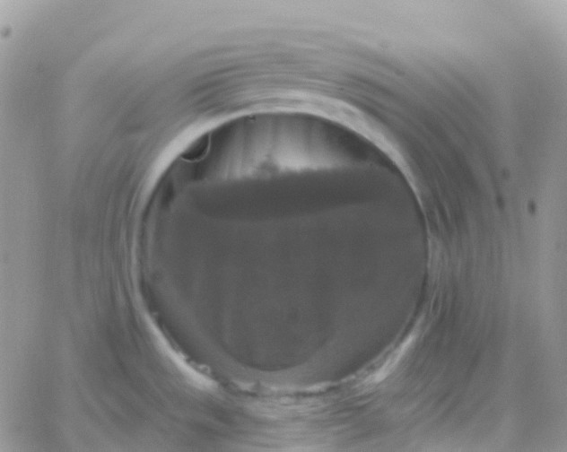 X0000065951533200603171947
