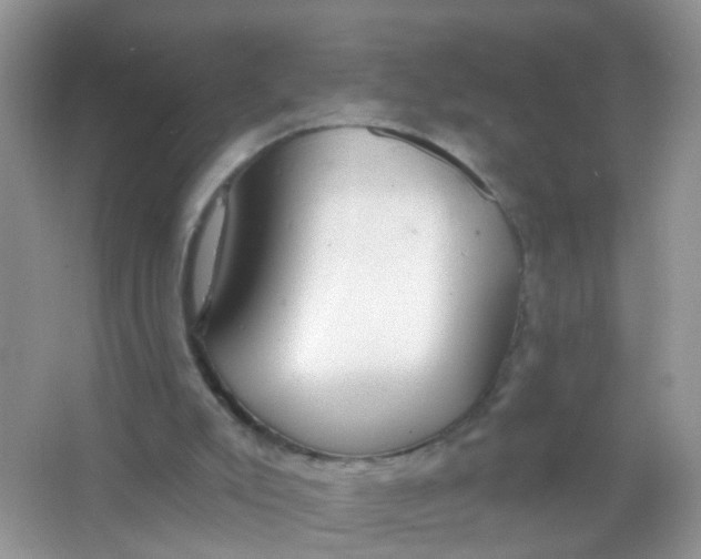 X0000065950007200603241833