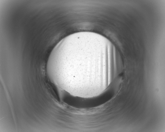 X0000065950017200603241833
