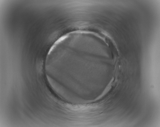 X0000065950018200603241833