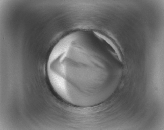 X0000065950019200603241833