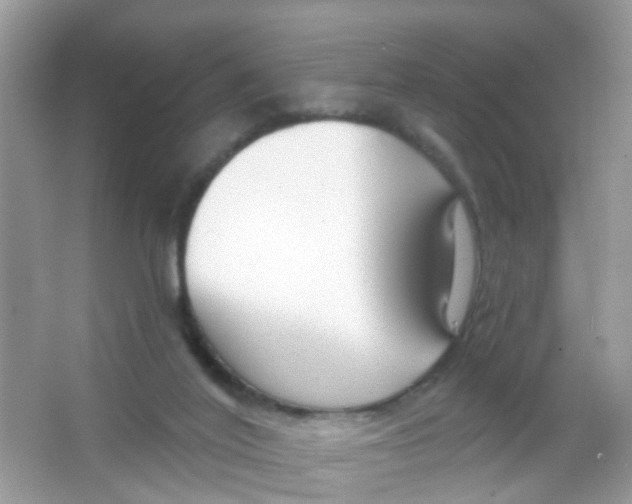 X0000065950020200603241833