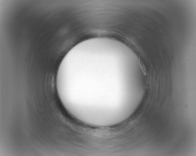 X0000065950024200603241833