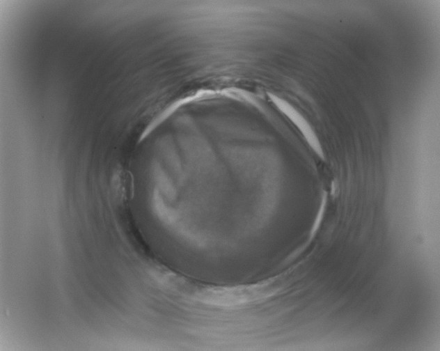 X0000065950029200603241833