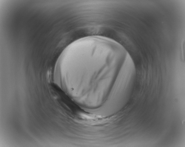 X0000065950035200603241832
