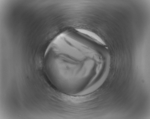 X0000065950039200603241832