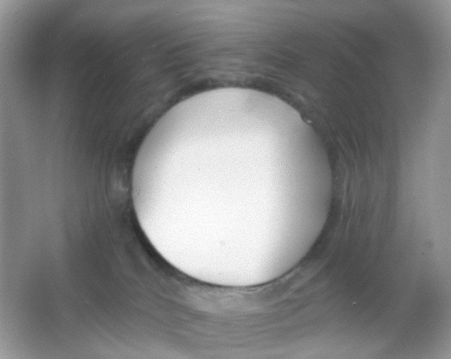 X0000065950040200603241832