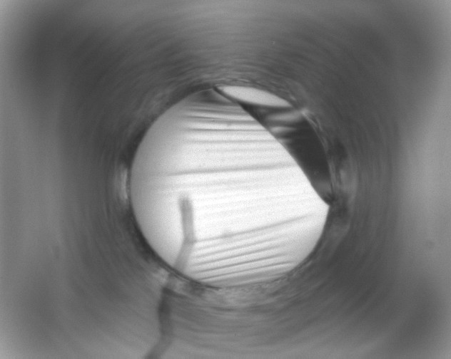 X0000065950041200603241832
