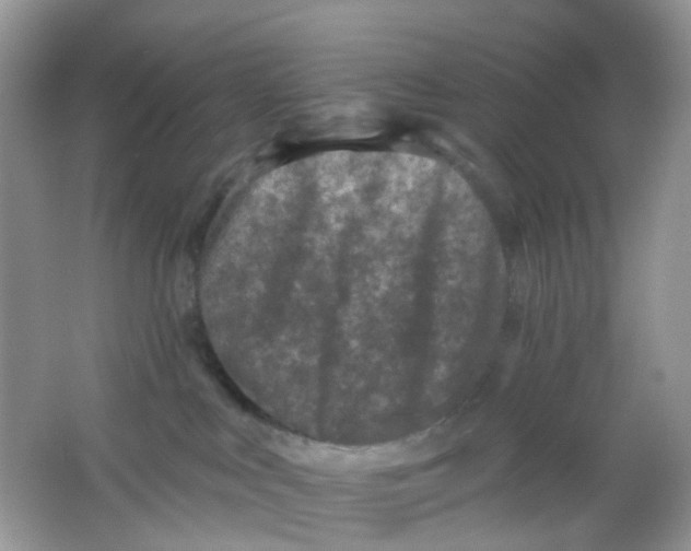 X0000065950043200603241832