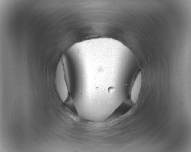 X0000065950045200603241832