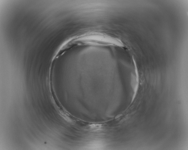 X0000065950052200603241831