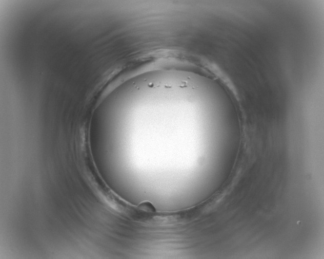 X0000065950057200603241832