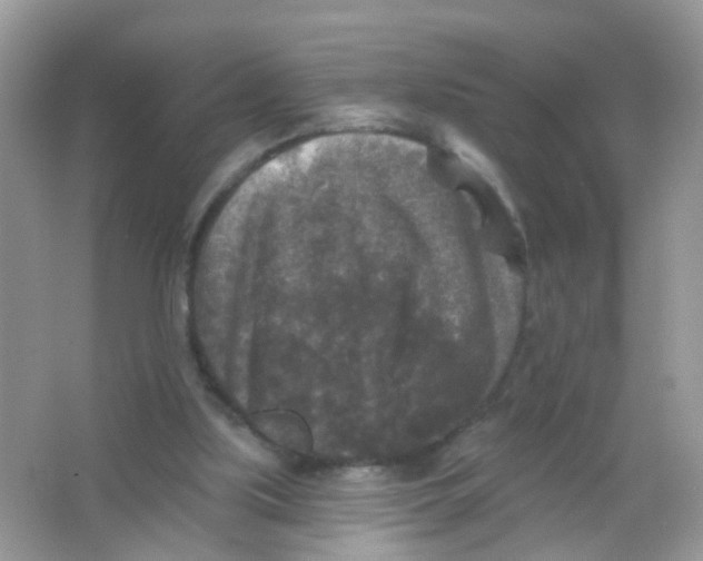 X0000065950059200603241832