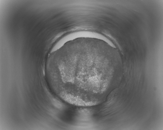 X0000065950062200603241832