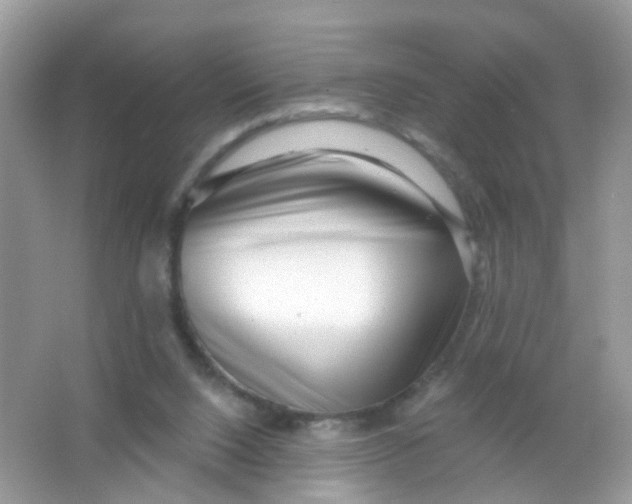X0000065950064200603241832