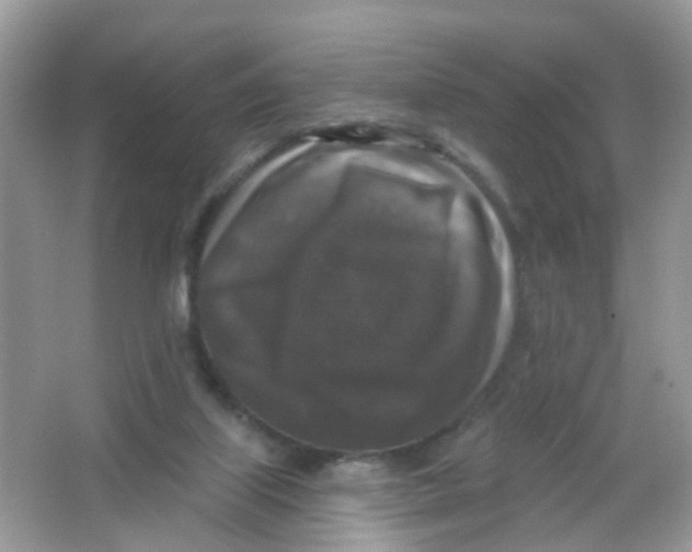 X0000065950067200603241832