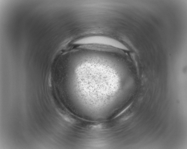 X0000065950068200603241832
