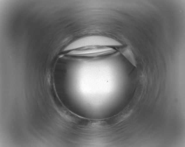 X0000065950072200603241832