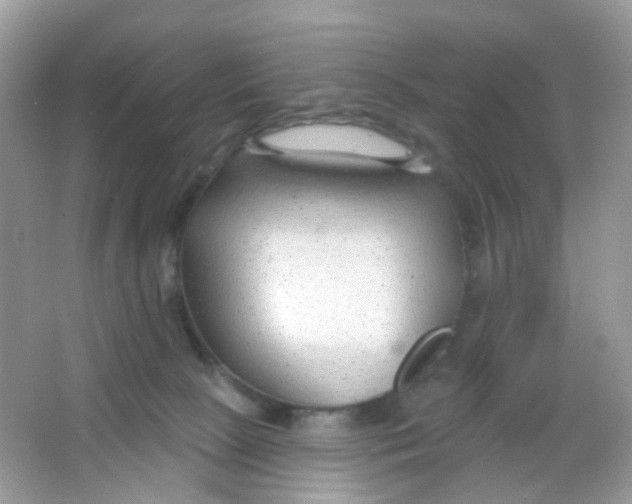 X0000065950081200603241832