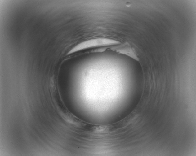 X0000065950088200603241832