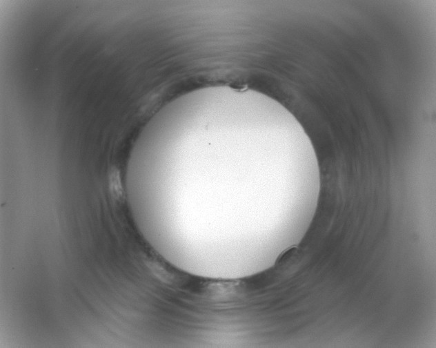 X0000065950089200603241832
