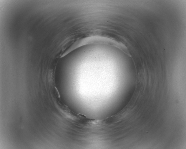 X0000065950092200603241832