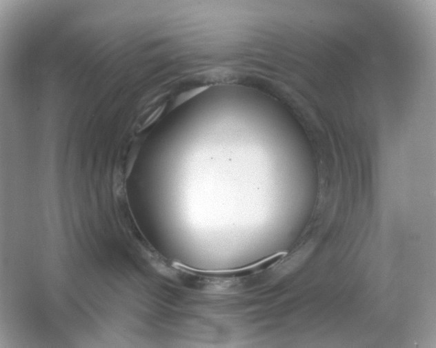 X0000065950096200603241832