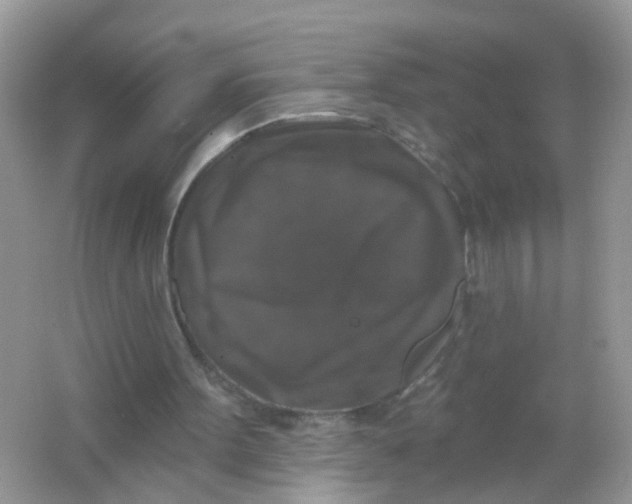 X0000065950099200603241831