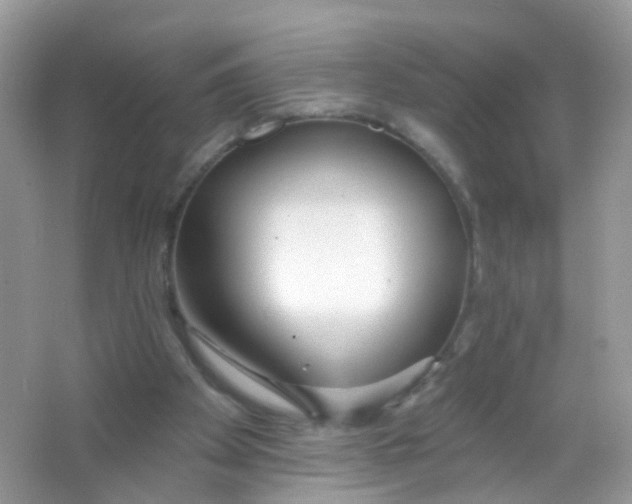 X0000065950105200603241831