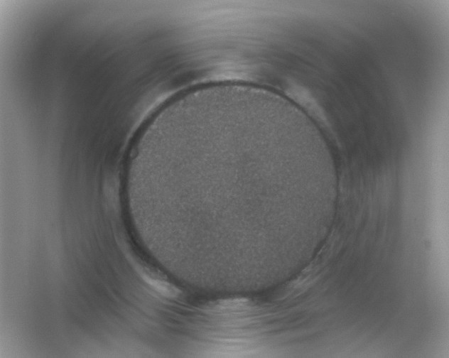 X0000065950108200603241831