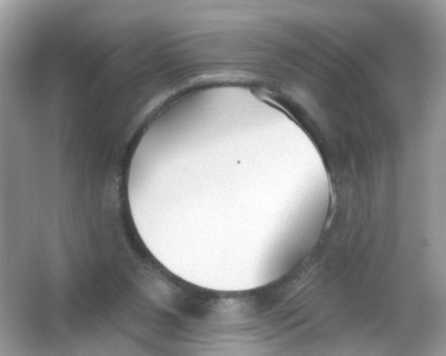 X0000065950111200603241831