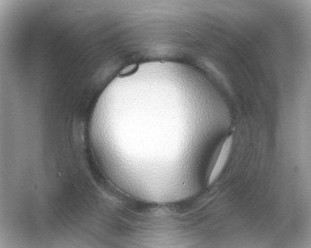 X0000065950115200603241831