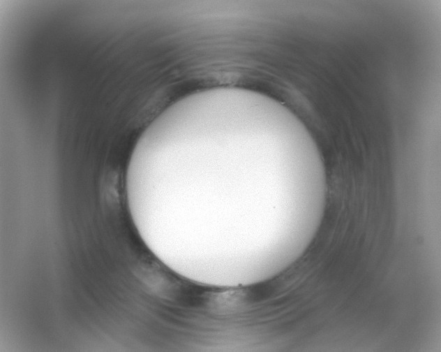 X0000065950122200603241831