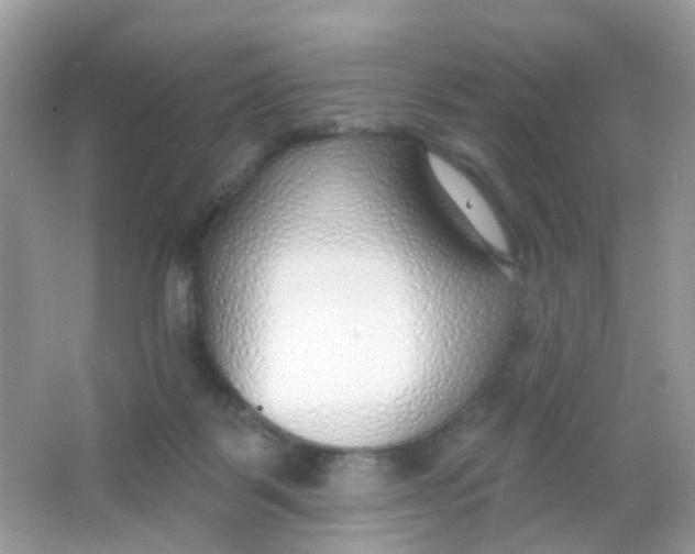 X0000065950123200603241831