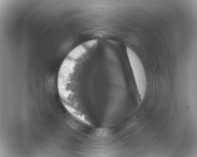 X0000065950127200603241831