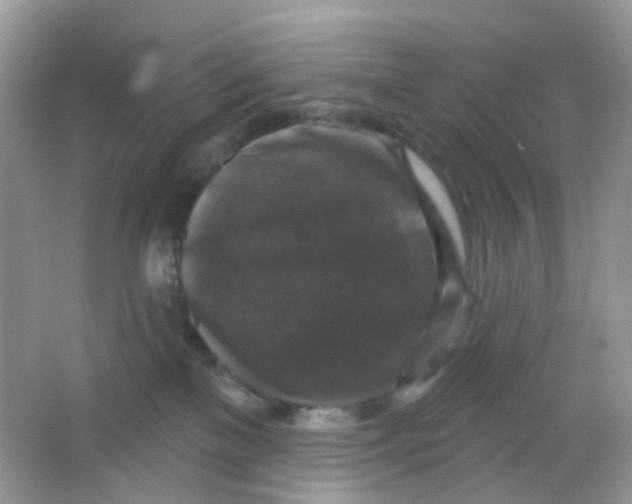 X0000065950137200603241831