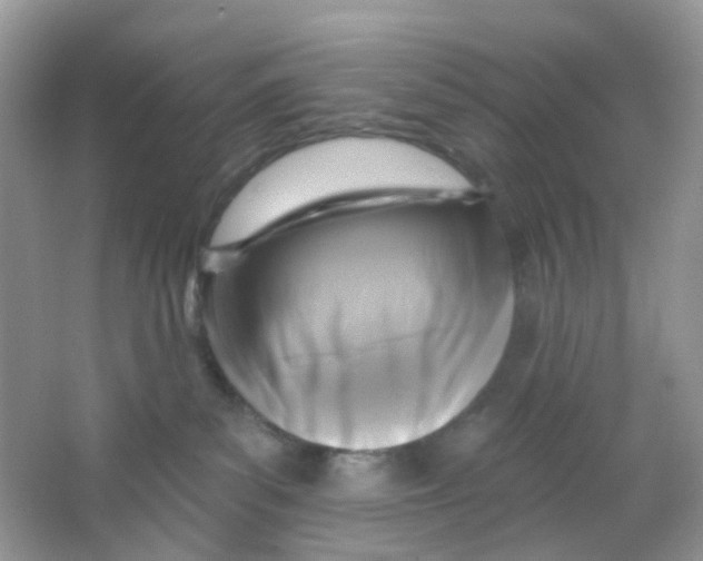 X0000065950139200603241831