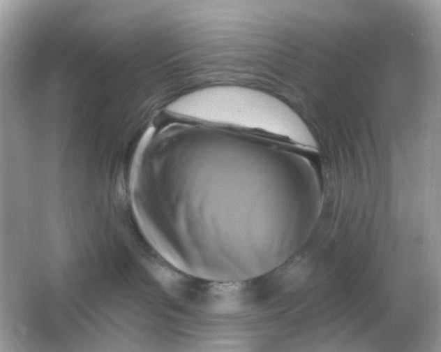X0000065950143200603241831