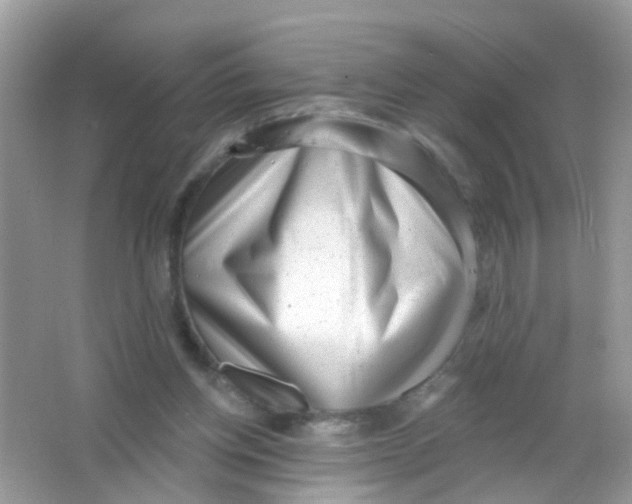 X0000065950158200603241830