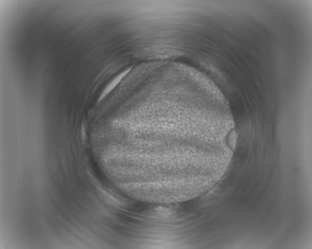 X0000065950166200603241830