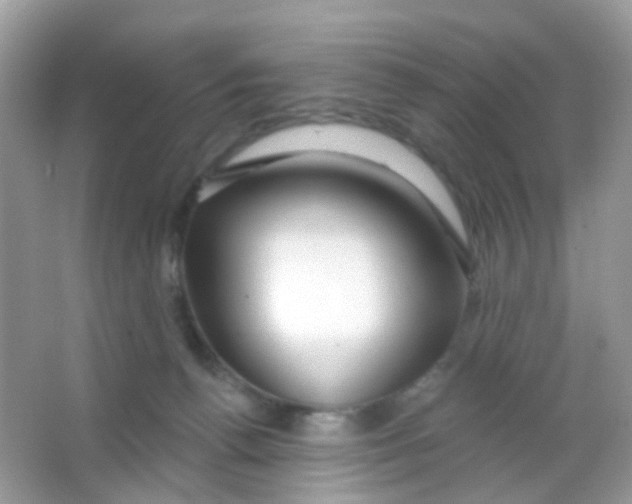 X0000065950176200603241830