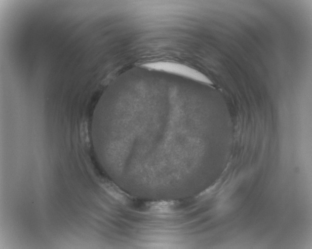 X0000065950182200603241830