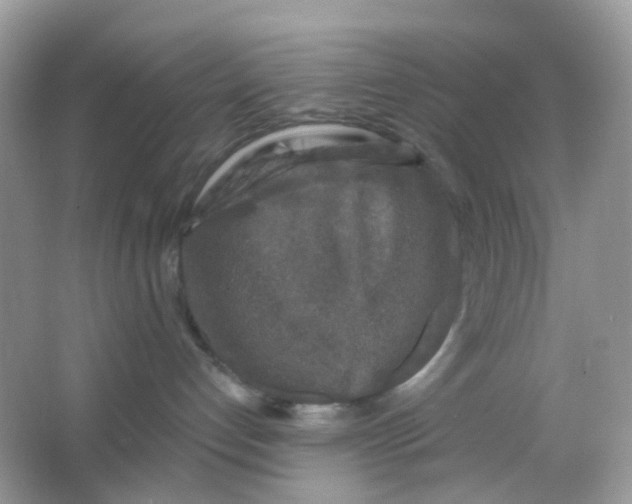 X0000065950192200603241831