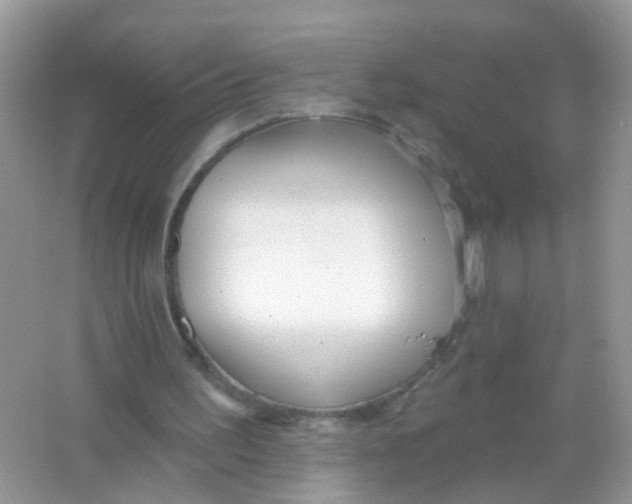 X0000065950195200603241830